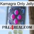 Kamagra Only Jelly 02